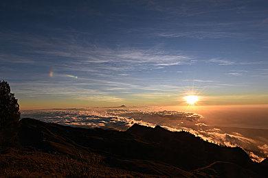 非对称多人对抗新游《VHS》公布 预定登陆Steam＆Epic